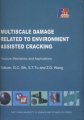 (image for) Multiscale Damage Related to Environment Assisted Cracking