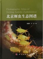 (image for) Photographic Atlas of Beijing Aphids (Aphidoidea)