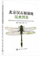 (image for) Atlas of Insects from Beijing Hanshiqiao Wetland