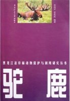 (image for) Moose-A Series of Protection and Utilization Research Books on Rare Animal in Heilongjiang Province