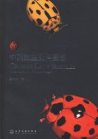 (image for) Chinese Lady Beetles (The Subfamily Coccinellinae)