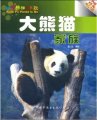(image for) Kung Fu Panda is Me-Family of Pandas(daxiongmao jiazu)