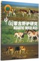 (image for) Asiatic Wild Ass