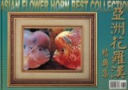 (image for) Asian Flower Horn Best Collection