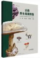 (image for) Atlas of Wild Toxic Fungi in Yunnan