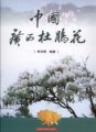 (image for) Azaleas in Guangxi Province, China (Zhongguo Guangxi Dujuehua)