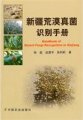 (image for) Handbook of Desert Fungi Recognition in Xinjiang