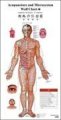 (image for) Acupunctrue and Microsystem Wall Chart (English-Chinese)