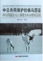 (image for) An Illustrated Handbook of Migratory Birds Jontly Protected by China and Japan