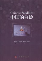 (image for) Chinese Sandflies