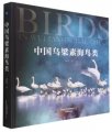 (image for) Birds in Wuliangsuhai, China