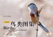 (image for) Birds of Nanhui Shanghai