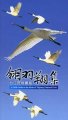 (image for) A Field Guide to the Birds of Taijiang National Park
