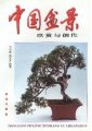 (image for) Appreciation and Creation of Chinese Penjing