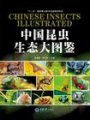 (image for) Chinese Insects Illustrated