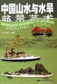 (image for) The Art of Miniature Mountain-river and Water-land Bonsai of China