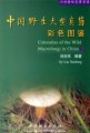 (image for) Color Atlas of the Wild Macrofungi in China (2)