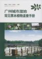 (image for) Quick Reference Manual of Common Herbaceous Plants in Guangzhou Urban Wetlands