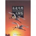 (image for) An Illustrated Guide to the Bird of Northeast China