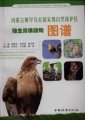 (image for) Atlas of Terristrial Vertebrate Animals at Saihanwula National Nature Reserve of Inner Mongolia