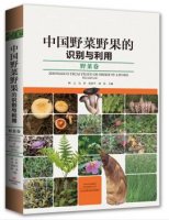 (image for) Identifiction and Utlization of Wild Vegetables and Fruits in China-Wild Vegetables