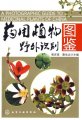 (image for) A Photographic Guide to Medicinal Plants of China