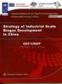 (image for) Strategy of Industrial Scale Biogas Development in China - Series on Capacity Building for the Rapid Commercialization of Renewable Energy in China (Project CPR/97/G31)