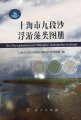 (image for) The Phytoplankton of Shanghai Jiuduansha Wetland