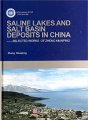 (image for) SALINE LAKES AND SALT BASIN DEPOSITS IN CHINA--SELECTED WORKS OF ZHENG MIANPING