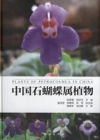 (image for) Plants of Petrocosmea in China