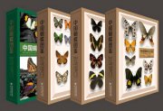 (image for) Butterflies of China (4 volume set)