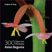 (image for) 300 Species Portraits of Asian Begonia