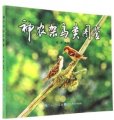 (image for) Atlas of Birds in Shennongjia