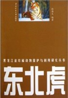 (image for) Siberian Tiger-A Series of Protection and Utilization Research Books on Rare Animal in Heilongjiang Province
