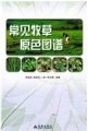 (image for) The Colored Atlas of Common Forage Grass (CHANGJIAN MUCAO YUANSE TUPU)