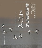(image for) Wetland Birds in the Yellow River: San Men Xia