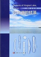 (image for) Diatoms of Xingkai Lake,China