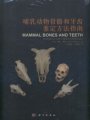 (image for) MAMMAL BONES AND TEETHAn Introductory Guide to Methods of Identification