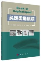 (image for) Beak of Cephalopod