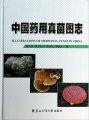 (image for) Illustrations of Medicinal Fungi in China
