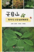 (image for) Fieldwork Atlas of Common Plants in Tianmu Mountain
