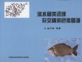 (image for) Chromosome Atlas of Distant Hybrid of Freshwater Fishes （Danshui Yulei Yuanyuan Zajiaozhong Ranseti Tupu）