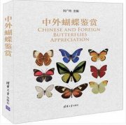 (image for) Chinese and Foreigner Butterlflies Appreciation
