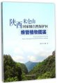 (image for) Illustrated Handbook of Vascular Plants in Micangshan National Nature Reserve of Shaanxi