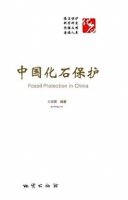 (image for) Fossil Protection in China