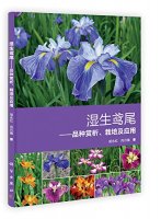 (image for) Wetland Iris (Shi Sheng Yuan Wei)