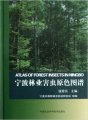 (image for) Atlas of Forest Insects in Ningbo