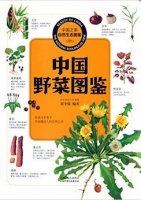 (image for) Atlas of Wild Vegetables of China (Beauty of China-The Natural Ecological View)