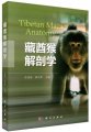 (image for) Tibetan Macaque Anatomy