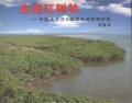(image for) Approach to Mangroves—Beilunhekou National Nature Reserve Area of China